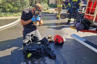  Heroiczna walka strażaków z ogniem. Uratowali psa z płonącego budynku