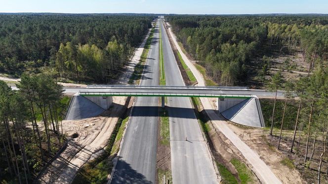 Budowa drogi S19 na odcinku Boćki (bez węzła) - Malewice
