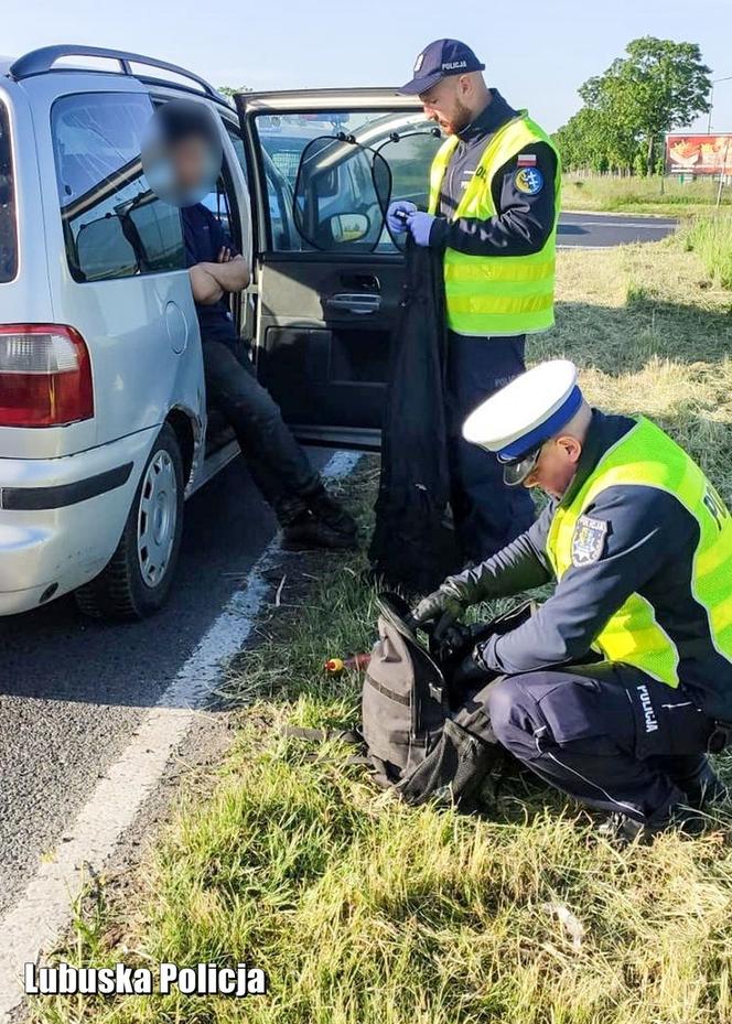 ​Nielegalni imigranci z Afganistanu zatrzymani pod Wschową