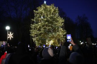 Setki światełek zabłysnęło na choince w Parku Śląskim
