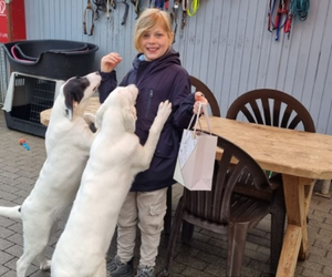 Oddał pieniądze, które dostał na komunię. Gest tego chłopca wzruszył tysiące