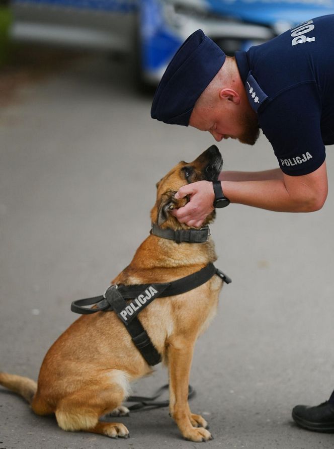 Policjanci dał dom psim emerytom