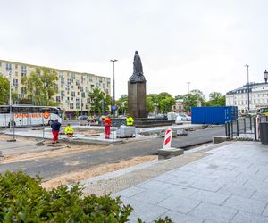 Sadzenie zieleni na placu Bankowym w maju 2025 r.