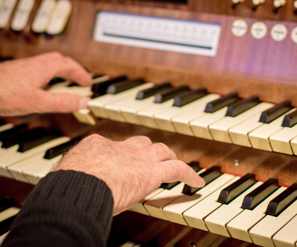 Organista