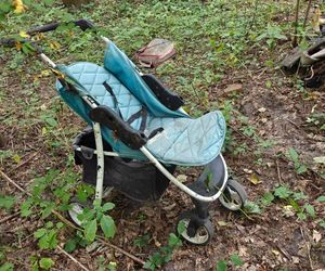 Zgroza w lesie pod Świeciem! Martwy pies w worku foliowym ze związanymi łapami. Policja szuka sprawcy bestialskiego czynu