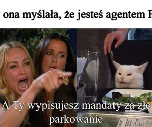To są najlepsze memy i życzenia w internecie na Dzień Policji. Ubawisz się z nami DO ŁEZ 