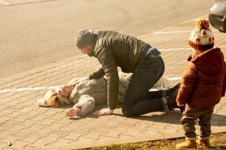 	Barwy szczęścia odc. 2866. Bożena (Marieta Żukowska), Tadzio (Józio Trojanowski)