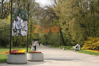 W warszawskim zoo urodził się wigoń