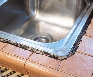 Jak się pozbyć pleśni? Te triki przywrócą świeżość twoim ścianom i kuchennym meblom