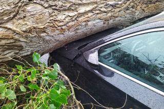 Silny wiatr w Grudziądzu. Są zniszczenia aut