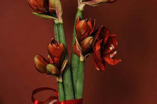 Kartki i laurki na Dzień Nauczuciela 14.10.2024 z życzeniami. Pobierz bezpłatną grafikę