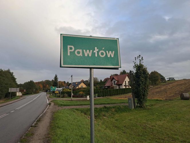 Tragiczny wypadek w Pawłowie. Byk zaatakował kobietę