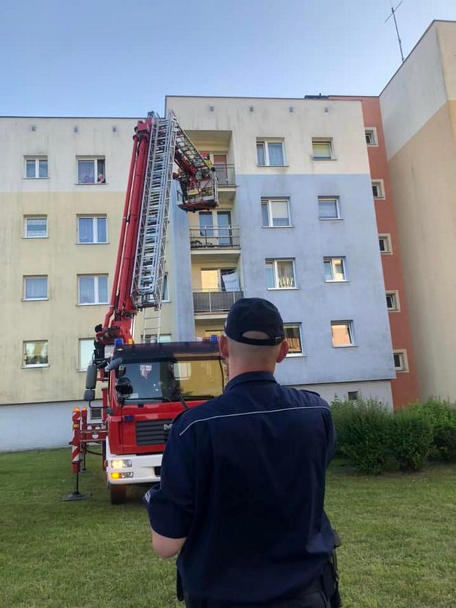 Pies konał w upale na balkonie. Dwa dni bez wody i jedzenia. Koszmar w Bytowie