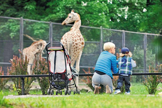 Weronika Książkiewicz zabrała synka Boryska do zoo