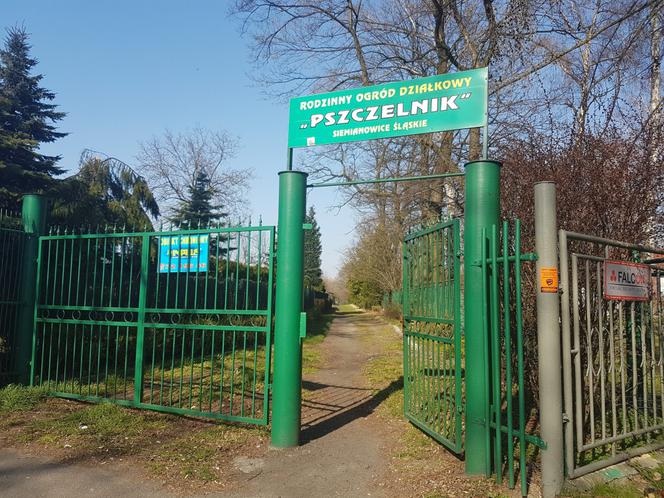 Ogródki działkowe w czasie pandemii