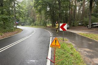 Kolizja na mokrej drodze we Włoszakowicach. Kierowcę wyciągali z auta strażacy