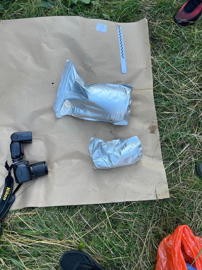 Gigantyczna plantacja konopi zlikwidowana. Policja zabezpieczyła marihuanę, kokainę, broń i amunicję
