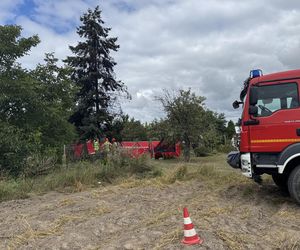 Wypadek awionetki w Krzycku Wielkim