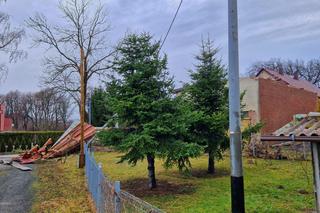 Silny wiatr nad Dolnym Śląskiem. Zerwany dach, powalone drzewa i zablokowana droga