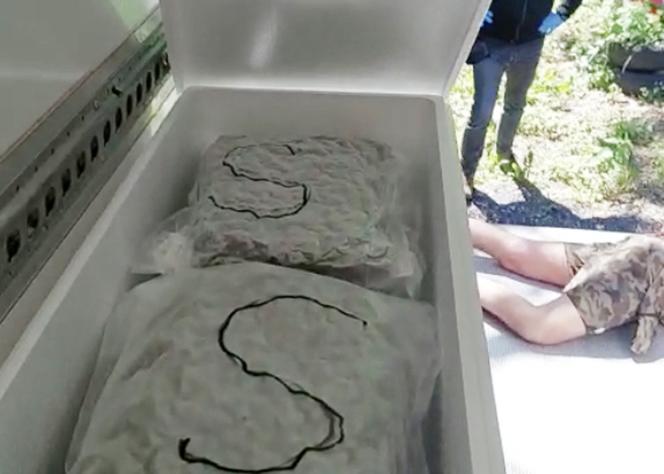 Warszawa. Przywieźli chłodnią 35 kilogramów marihuany z Hiszpanii, wpadli na Mokotowie