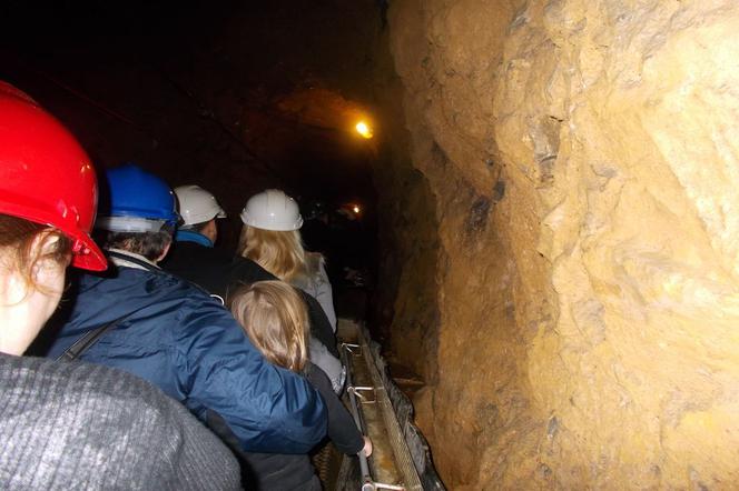 Sztolnia Czarnego Pstrąga