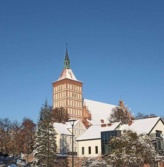 Zabytkowa katedra św. Jakuba w Olsztynie zostanie wyremontowana. Takich prac nie było od 100 lat [ZDJĘCIA]