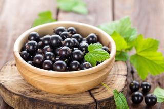 Owoce i liście czarnej porzeczki - właściwości i zastosowanie