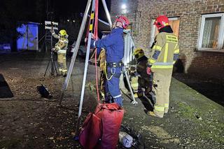 Kot wpadł do studni i nie mógł z niej wyjść. Na pomoc ruszyli strażacy
