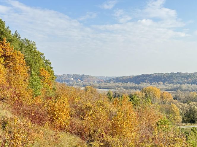 Tak wygląda Janowiec nad WIsłą w jesiennej odsłonie