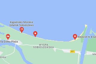 Dzika plaża na Wyspie Sobieszewskiej 