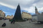 Choinka za milion złotych stanęła we Wrocławiu. Tak wygląda luksusowe drzewko 