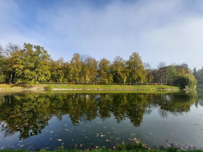 Zamojski Park jesienią