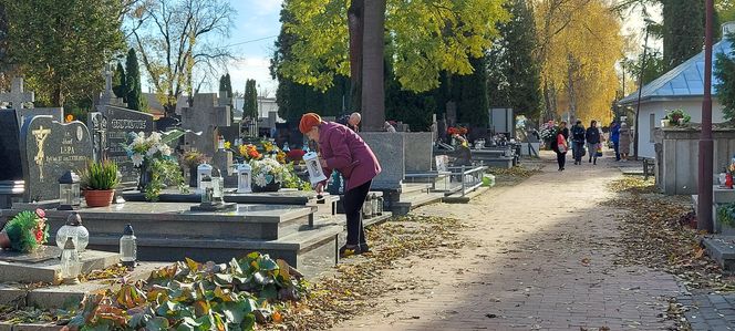 Przygotowania do Wszystkich Świętych Zamość