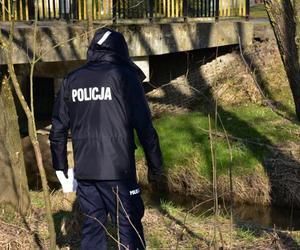 Tajemnicze zaginięcie 73 letniej Krystyny z Łowiec