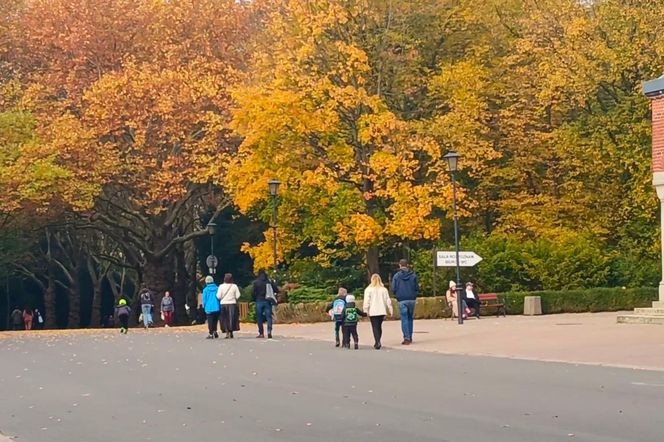 Przygotowania do 1 listopada na Cmentarzu Centralnym w Szczecinie