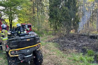 Duży pożar na pograniczu polsko-słowackim. Na miejscu pracuje wiele zastępów straży pożarnej