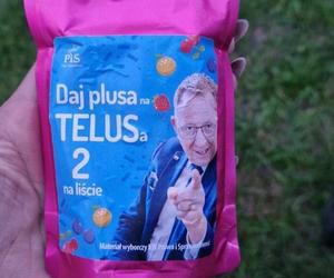 Wybory 2023. Najoryginalniejsze plakaty i ulotki wyborcze. Oni walczą o mandat posła