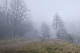 Pożar Lubańskiego Wielkiego Lasu 