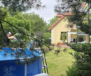 Wczasy po Polsku wiceprezesa Czarnka