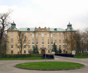 Pałac w Witosławiu
