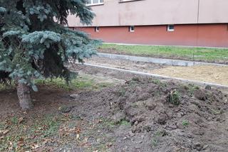 Budują ściężkę rowerową przy ul. Dąbrowskiego w Lesznie