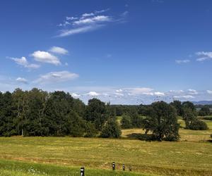 Goczałkowice Zdrój - spacerowicze