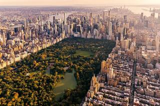 Wirus zachodniego Nilu wrócił do Nowego Jorku