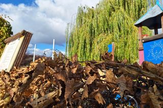 Najlepsze miejsca na jesienny spacer w Rzeszowie