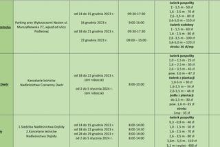 Ceny choinek w nadleśnictwach RLDP w Białymstoku
