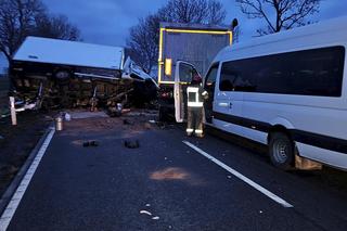 Śmiertelny wypadek pod Malborkiem! Dwie osoby zginęły w potwornym zderzeniu ciężarówek [ZDJĘCIA].