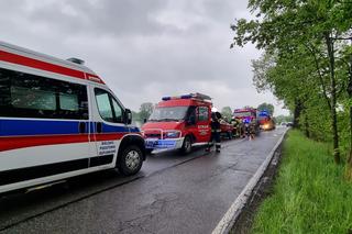 Koszmar w Dankowicach