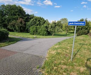 Park Centralny przed wielką zmianą! Zobacz, gdzie powstanie kąpielisko