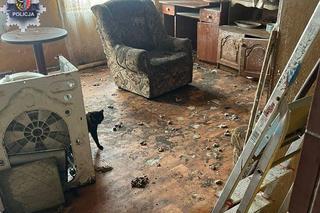 W tak tragicznych warunkach trzymali koty w domu. Dwie osoby usłyszały zarzuty 