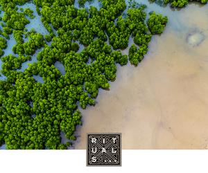 Znana marka kontynuuje swoje działania na rzecz neutralności węglowej 